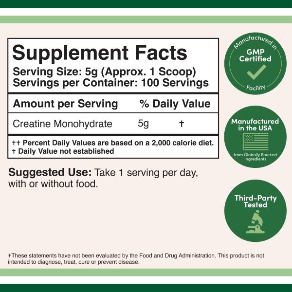 Creatine Powder Online Hot Sale - Image 2